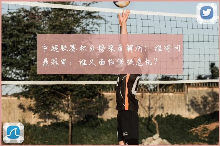 中超联赛积分榜深度解析:谁将问鼎冠军,谁又面临保级危机?