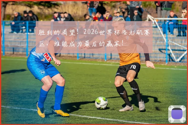 胜利的渴望!2026世界杯洛杉矶赛区,谁能成为最后的赢家!